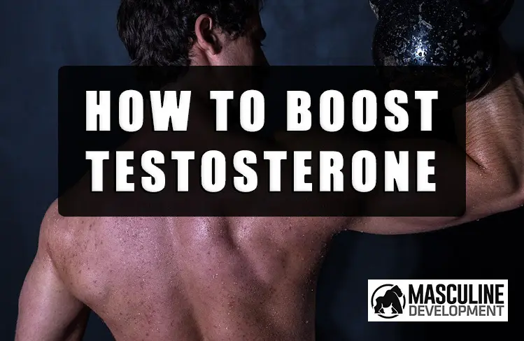 boost testosterone naturally masculine development