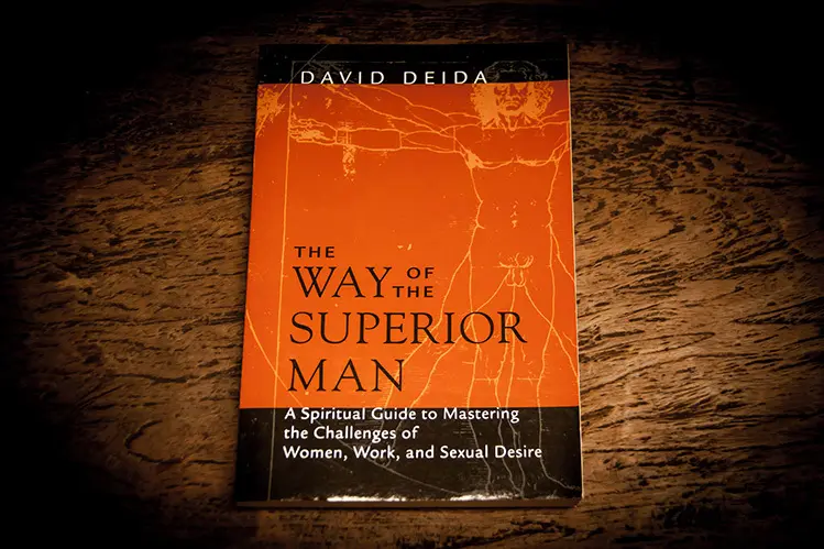 david deida the way of the superior man
