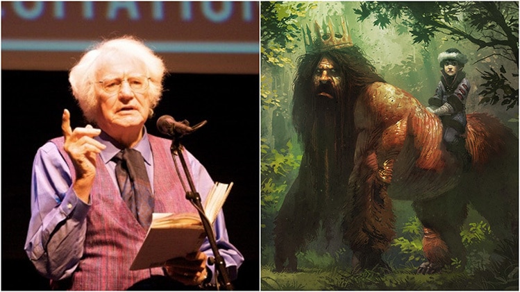 iron john robert bly novel
