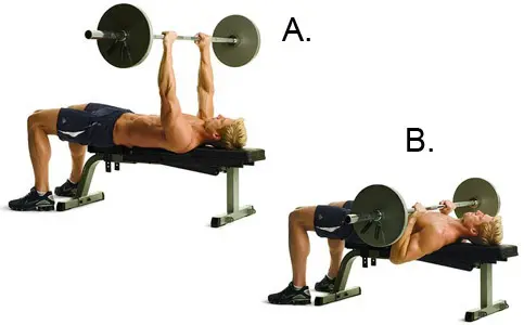 ss workout bench press