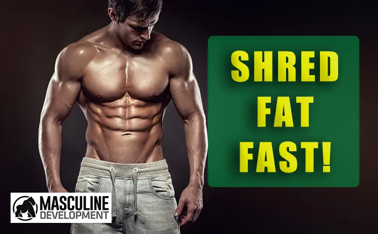 how to get shredded