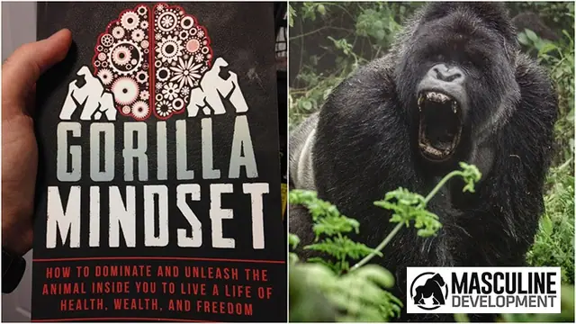 gorilla mindset