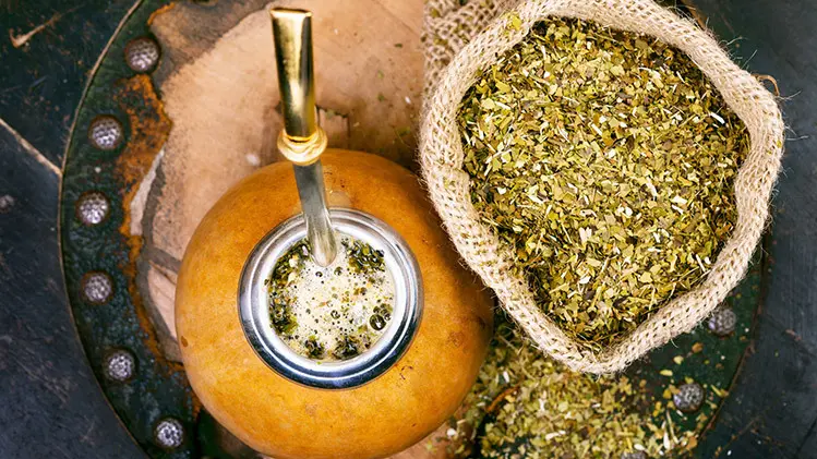 yerba mate cheat day benefits