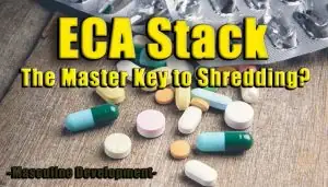 eca stack