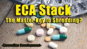 eca stack