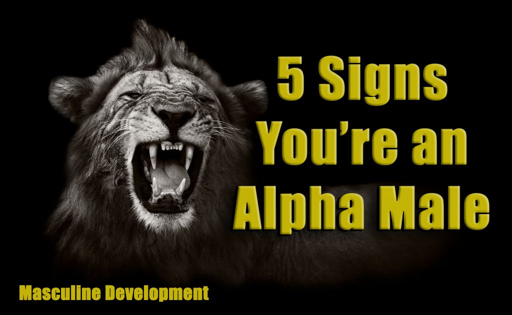 Signs Youre an Alpha Male
