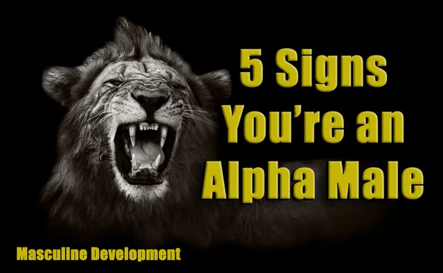 Signs Youre an Alpha Male