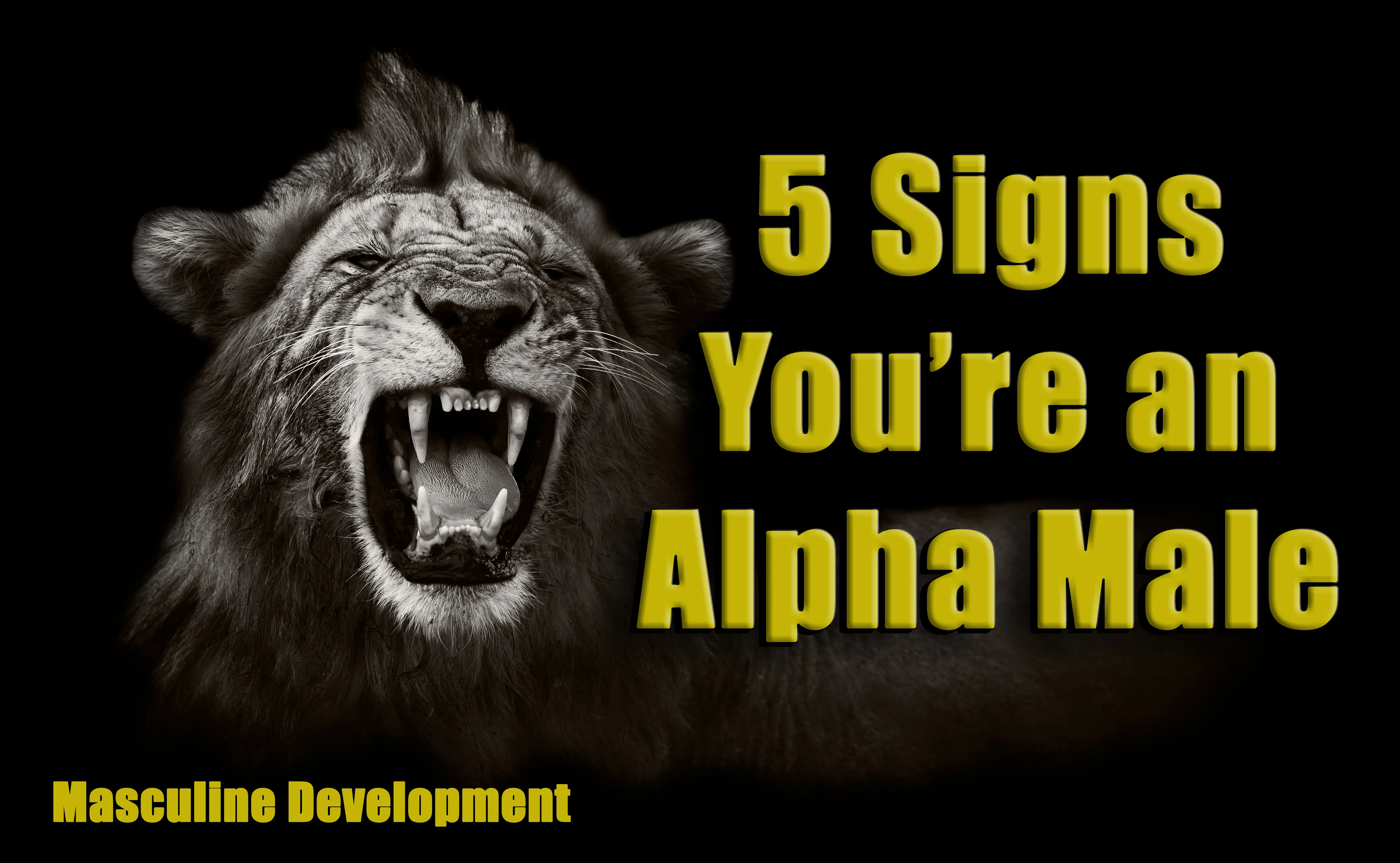 Signs Youre an Alpha Male