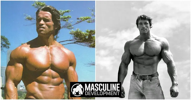 best chest exercises arnold