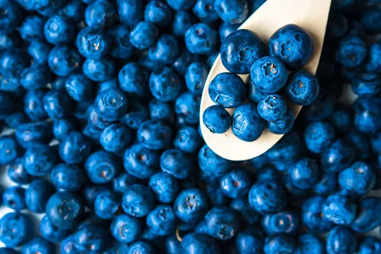 best bodybuilding foods blueberries antioxidants