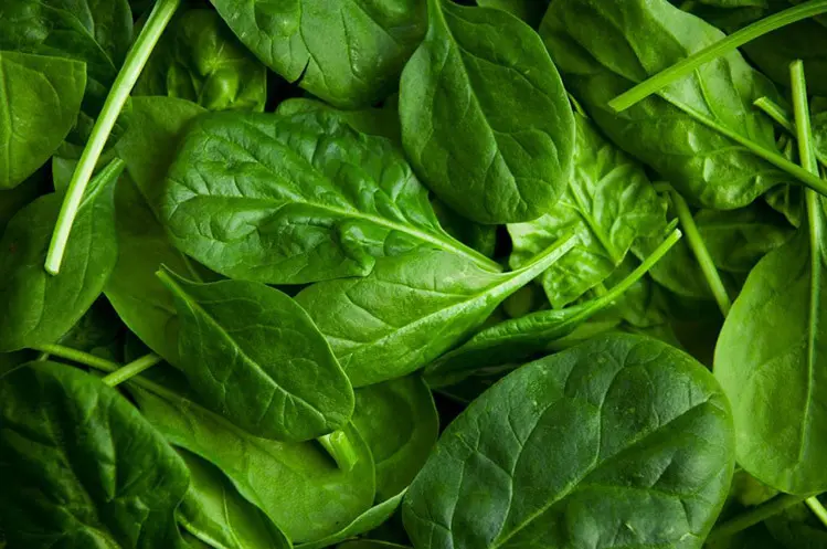 best bodybuilding foods spinach micronutrients