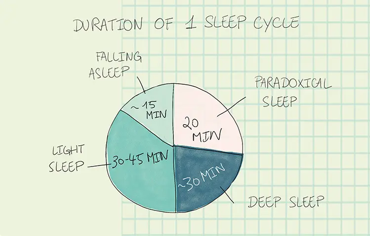 sleep cycle bio hacks