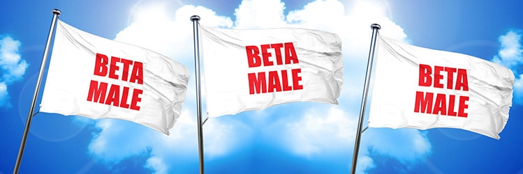 beta orbiter