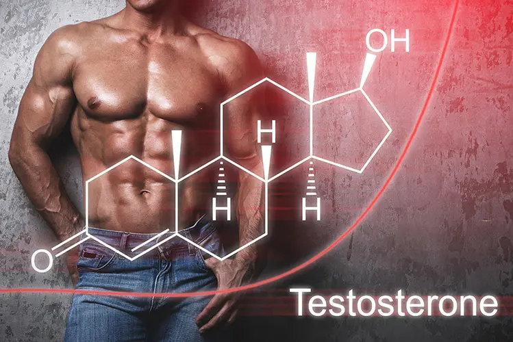 testosterone