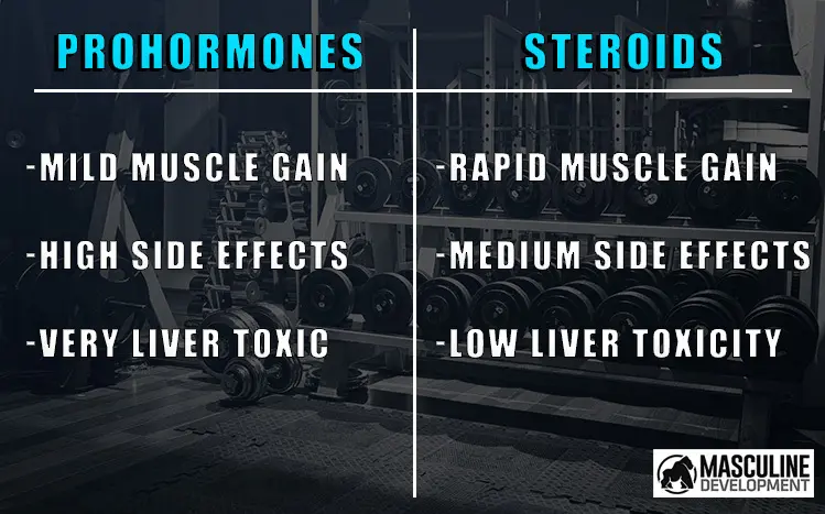 prohormones vs steroids