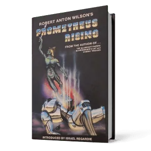 Prometheus Rising Book Men Improvement (1)