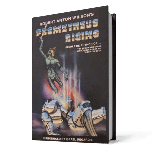 Prometheus Rising Book Men Improvement (1)