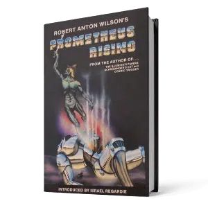 Prometheus Rising Book Men Improvement (1)